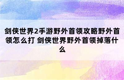 剑侠世界2手游野外首领攻略野外首领怎么打 剑侠世界野外首领掉落什么